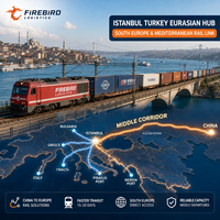 Transport ferroviaire Firebird Chine-Belgique FBA DDP – Tarif compétitif pour fret complet avec suivi