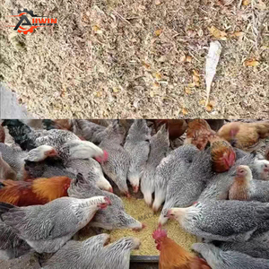 Nueva Máquina Automática para Producción de Pienso para Animales de Alta Producción de 100 Kg/h con Motor de Bobina de Cobre - Product Image 2