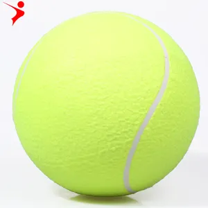 REGAIL 9.5インチインフレータブルテニスボール署名テニスお土産大ペットのテニス男性