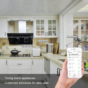 Prise intelligente Zigbee EU 16A ZB-EU-16A avec moniteur de puissance, contrôle vocal et programmation, compatible avec Alexa, Google Home et Alice. - Product Image 3
