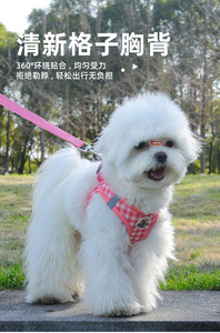 Aanpasbare kleine premium luxe hondenriem en tuigset, gepersonaliseerd, reflecterend, gevoerd, omkeerbaar, Dacron, verstelbare gesp - Product Image 6