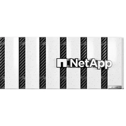 재고 2u 24 노드 Aff C250 Netapp Aff C 시리즈 USB 및 Esata 인터페이스가 있는 클라우드 연결 모든 플래시 데이터 센터