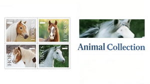 <span class=keywords><strong>Timbres</strong></span>, étiquettes, matériel postal américain, papier pour <span class=keywords><strong>timbres</strong></span>, livre de collection sur le thème des chevaux 2024, autocollants de <span class=keywords><strong>timbres</strong></span>-poste américains, à <span class=keywords><strong>acheter</strong></span> <span class=keywords><strong>en</strong></span> <span class=keywords><strong>ligne</strong></span> - Product Image 6