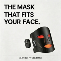 Équipement de thérapie LED, masque facial en silicone, appareil à photons infrarouges, télécommande sans fil, longueur d'onde personnalisée, fabricant
