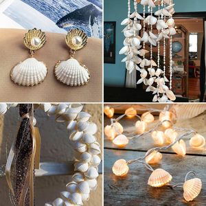 <span class=keywords><strong>100</strong></span> Uds. De conchas marinas de 1,5-2,5 CM, conchas marinas pequeñas blancas para pintura DIY, decoración de boda, conchas naturales de playa a granel - Product Image 5