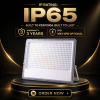 Reflector LED de Aluminio de Alta Luminosidad de 300W, Clasificación IP65, Luz Blanca Cálida para Almacenes y Paisajes OUTLUX E037 EMC LVD CE UKCA