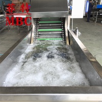 Automatische Plantaardige Wassen En Drogen Productielijn Multifunctionele Plantaardige Apparatuur Fruit En Groente Wasmachine