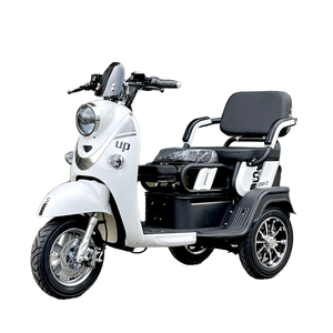 Triciclo <span class=keywords><strong>de</strong></span> 3 Ruedas <span class=keywords><strong>de</strong></span> Nuevo Diseño, 1000W, Scooter <span class=keywords><strong>de</strong></span> Movilidad con 3 Asientos Ajustables, 48v, Bicicletas Urbanas - Product Image 2