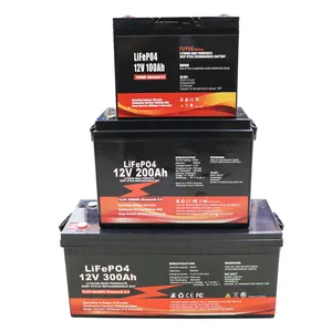 Deep Cycle 12V Lithium Battery 100 200 300 Ah Solar 24V 24 12V Volt Lifepo4 Akku 12V 200Ah 100Ah 300Ah