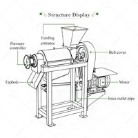Mango kokosmelk fruitsap ananas tomatenpulp extract fruitpers extractiemachine