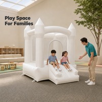 Modèle gonflable en PVC Noco Noco-8020 pour les jeux en extérieur et en intérieur et l'utilisation commerciale
