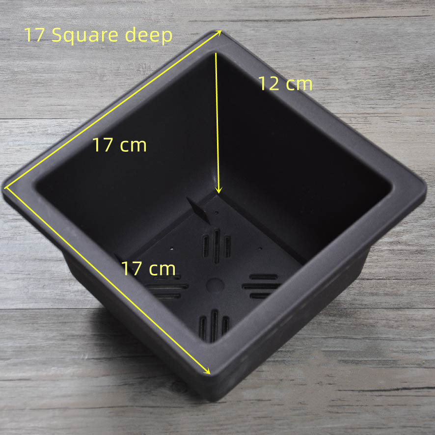 Argilla viola4 (escluso il vassoio)