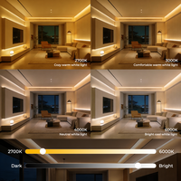 VH SMART LIGHTING Bandes lumineuses LED 480 blanc chaud, blanc neutre, blanc froid pour la décoration commerciale et résidentielle
