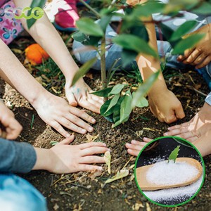 Siêu thấm polymer Hydrogel nông nghiệp kali Polyacrylate cho các nhà máy superabsorbent nước hấp thụ tinh thể - Product Image 6