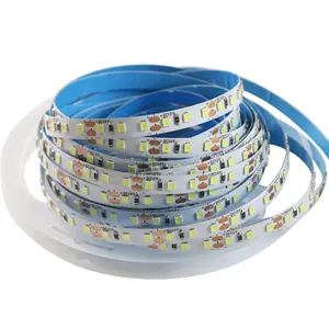 60Leds 120Leds 240Leds 5M/Rol Flexibele Led-Verlichtingsstrip 12V 24V Warm Wit/Koud Wit Rgb Smd2835 Led Strip Lichtband