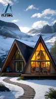 Kit de maison préfabriquée en A, fabriqué en Chine, résistant à l'eau, avec structure en acier léger, à vendre