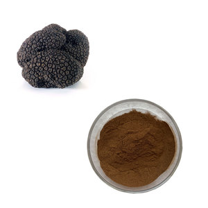 Extrait de Truffe Noire <span class=keywords><strong>du</strong></span> Périgord en Poudre pour Renforcer l'Immunité, Polysaccharide, Extraction par Solvant, Conditionnement en Fût - Product Image 4