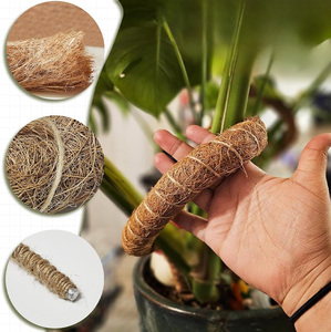 30 inch sinh thái rêu cực uốn cong số lượng lớn Pack-sphagnum hydrat hóa, bền vững tìm nguồn cung ứng - Product Image 4