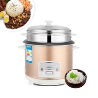 Autocuiseurs Électriques Rapides Antiadhésifs Tout-en-un pour la Maison, Capacités 2L, 3L, 4L, 5L