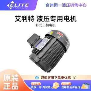 Moteur hydraulique Elite 0,75/1,5/2,2/3,75 KW horizontal triphasé pour systèmes hydrauliques - Product Image 2