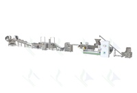 Automatische multi-voltage machine voor het maken van gepofte maïs, fruit, snoep, chocolade en andere voedingsmiddelen, met dubbele schroefextruder en snackmachinelijn