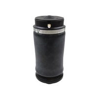 Ressort à air de suspension 1663200325 1663201025 pour Mercedes-Benz W164 X164 W166 Airbag arrière