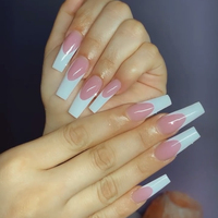Ensemble de manucure professionnel Hanyinails Nail Art poudre de pigment acrylique pour ongles en vrac avec monomère liquide