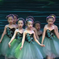 Jupe de ballet émeraude pour enfants, jupe de concours, édition professionnelle pour filles, jupe longue de performance, robe de spectacle bouffante