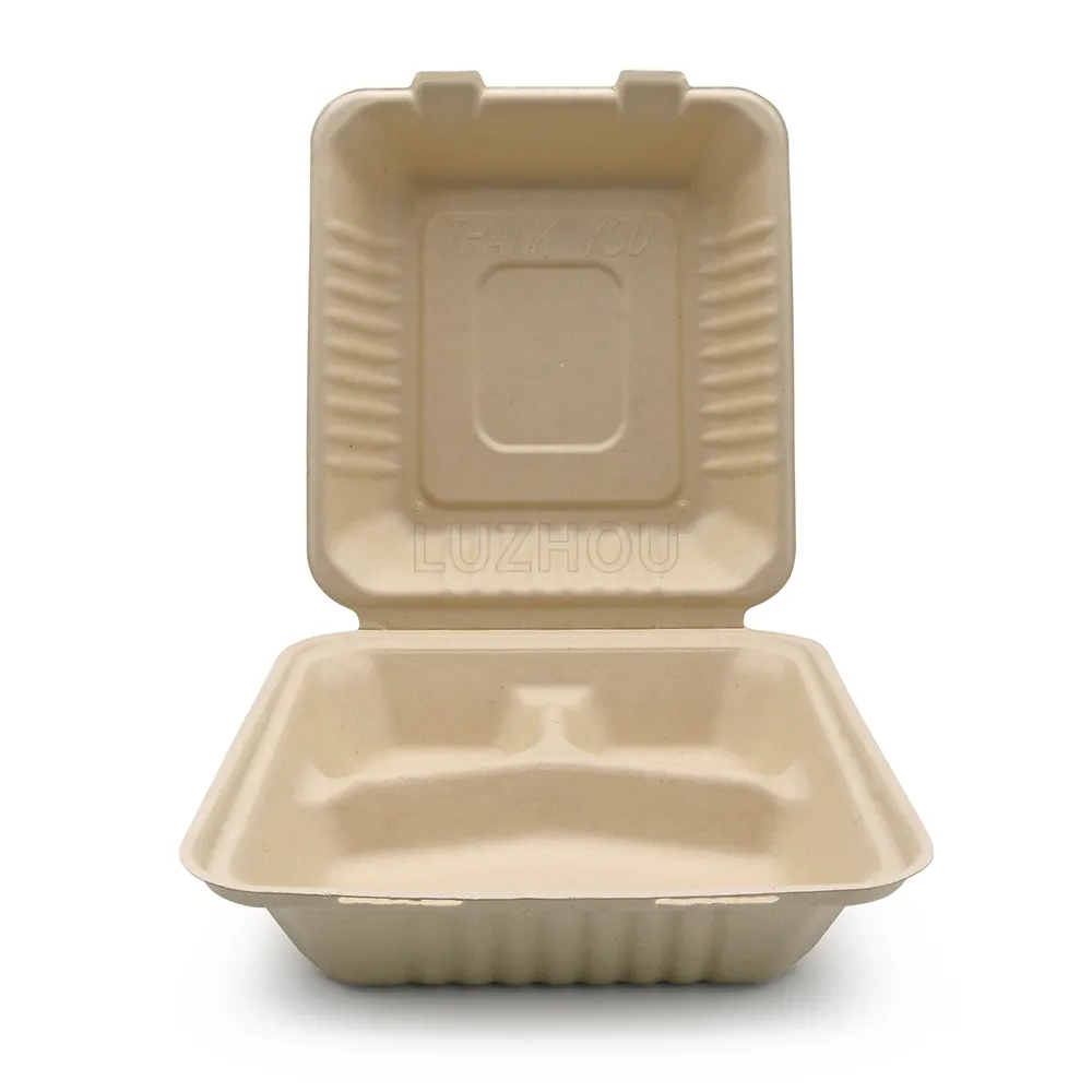 LuzhouPack Usine Directe 1000ml 8 "3 Compartiments Écologique Bagasse Compostable Biodégradable Jetable Récipient Alimentaire Papier