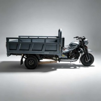 Triciclo de Gasolina Directo de Fábrica con Plataforma de Carga Grande Abierta y Estructura Resistente para Transporte Logístico Rural en Congo