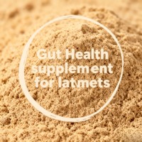 Acides et enzymes organiques dérivés d'Aspergillus Niger : Modulateur de la santé intestinale pour porcelets et veaux sevrés afin de réduire la diarrhée