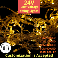 Maßgefertigte IP65 Wasserdichte 24V Niederspannungs-PVC Transparente Leitungsbeleuchtung Warmweiß Dimmbar 100 LED CE-Zertifizierte Außen-Weihnachtsbeleuchtung