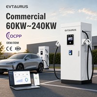Chargeur rapide DC pour véhicules électriques commercial à double pistolet, niveaux 3 CCS1 CCS2 GBT BYD, 60 kW 120 kW 240 kW, avec application et RFID