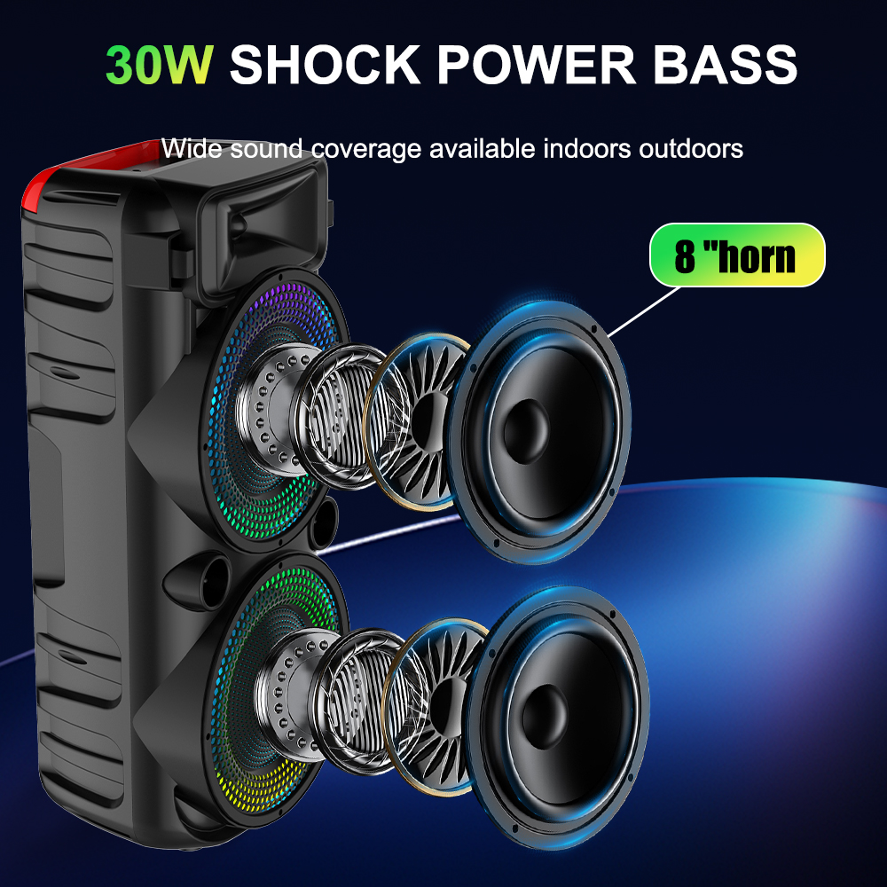 Sing-e ZQS8276 Dual 8-Inch KTV DJ Karaoke Speaker - Home Theatre