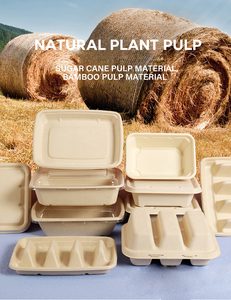 Nhà máy bán thân thiện với môi có thể tái chế bột bắp dùng một lần Hộp Ăn Trưa cho trẻ em Snack Bánh Sandwich bao bì thực phẩm - Product Image 4