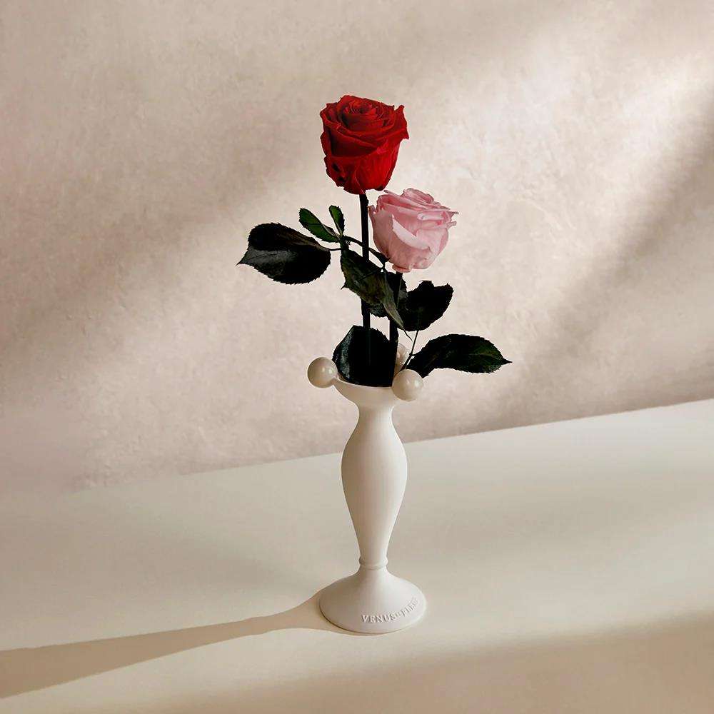 2pcs rose dans un vase