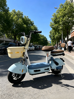 Vélo Électrique de Ville pour Adultes, Vente en Gros Usine, 350W 48V, Batterie au Plomb, Cadre en Acier à Haute Teneur en Carbone, Autonomie 55-65km, Deux Roues