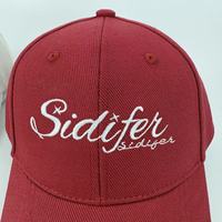 Gorra de Béisbol Personalizada con Bordado 3D, Logotipo Personalizado, Diseño Deportivo de 5 Paneles con Lazos y Perlas, Ajustable, Tela Común