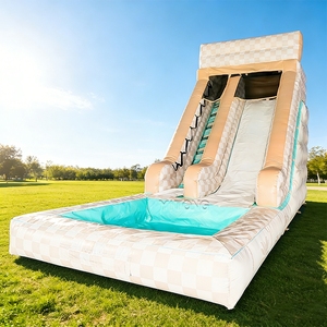 Tobogán Inflable Acuático para Niños, <span class=keywords><strong>Castillo</strong></span> Inflable con Tobogán y Piscina, Tobogán Inflable Comercial de PVC - Product Image 1