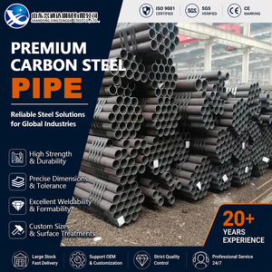 ท่อเหล็กคาร์บอน A333 Gr.6 API 5L Gr.B A283 Gr.C ผ่านกระบวนการดอง ขนาด 219.1 มม. หนา 4 มม. Sch20 JIS G3454 สำหรับงานท่ออุตสาหกรรม - Product Image 1