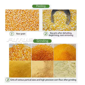 Máquina Desgranadora de <span class=keywords><strong>Maíz</strong></span> Comercial GGB-300B, Máquina para Hacer Sémola de <span class=keywords><strong>Maíz</strong></span>, la Mejor Máquina para <span class=keywords><strong>Maíz</strong></span> - Product Image 5
