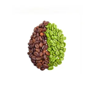 生コーヒー豆粉末エキス純粋なクロロゲン酸生コーヒー豆エキス