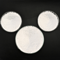 Prix le moins cher de qualité industrielle Carbonate de calcium nano haut de gamme, poudre de pierre de chaux