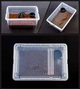 Einfache, transparente, stapelbare und belüftete Reptilien-Transportbox aus Kunststoff in verschiedenen Größen für die Brut und die Zucht von Reptilien. - Product Image 4