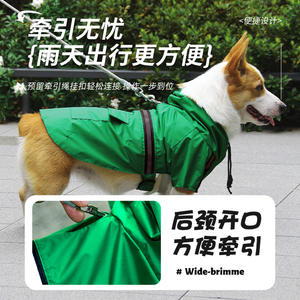 Nouvelle veste de pluie pour animaux de compagnie, pour chiens de petite à moyenne taille, vêtements imperméables à capuche réfléchissants, ajustement universel, vert et bleu, toutes saisons - Product Image 2
