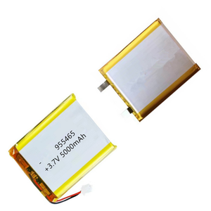 장난감용 전기 청소 브러시용 4000mAh 3.7V 솔리드 스테이트 리튬 배터리 - Product Image 4