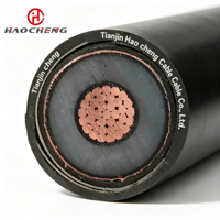 YJV62 Nicht-Magnetisches Kabel CE-CPR VDE UKCA UL CSA SAA RoHS IEC60502-2 Umspannwerk