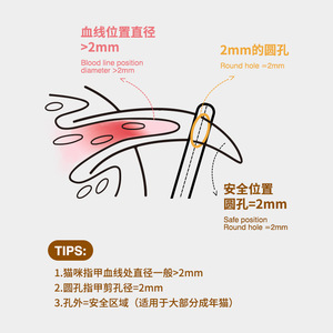 Aiwo Cat Nail Clippers Round Hole Design Easy To Use Pet Grooming Tool - Product Image 3