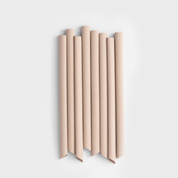 Pailles en poudre de bambou BOFA PBS-jetables 85 biodégradables résistantes à la chaleur pour café chaud et boissons