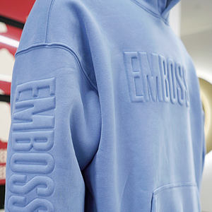 Sudadera con Capucha OEM de Invierno de 350g, Estilo Urbano, con Relieve 3D, de Algodón Grueso, para Hombre, con Cuello Alto y Relieve Personalizado - Product Image 1